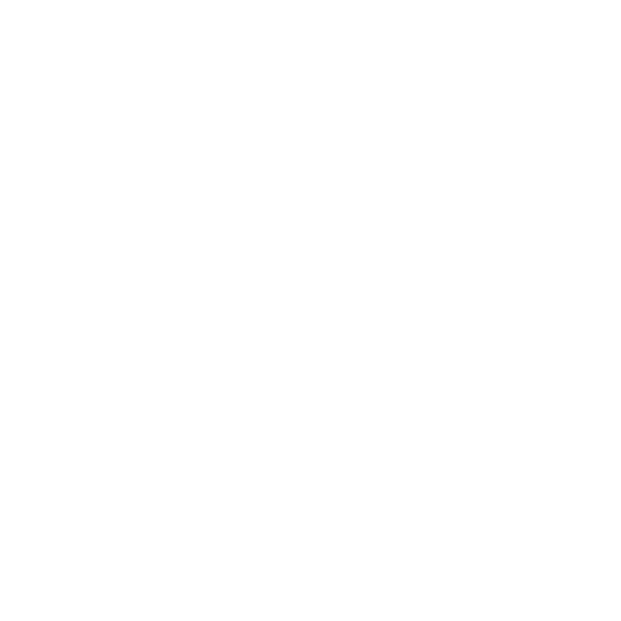 burger in