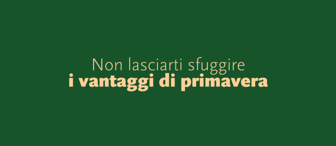 Progetto senza titolo (99)